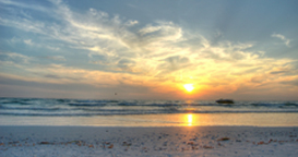 contact_header_1